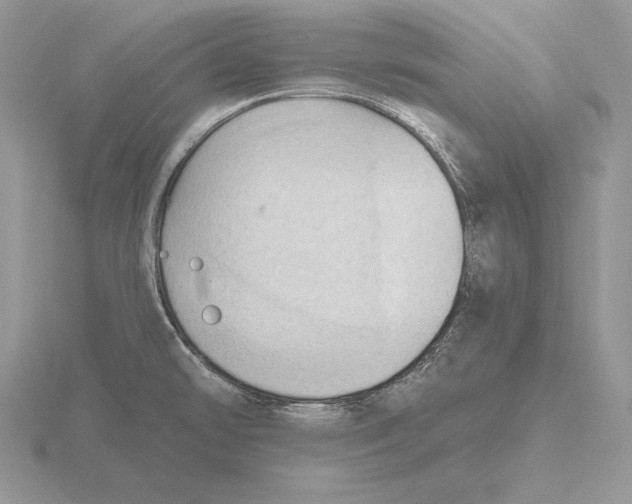 X0000115791478200912111138