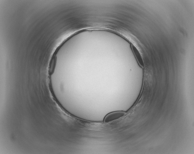 X0000115791485200912111138