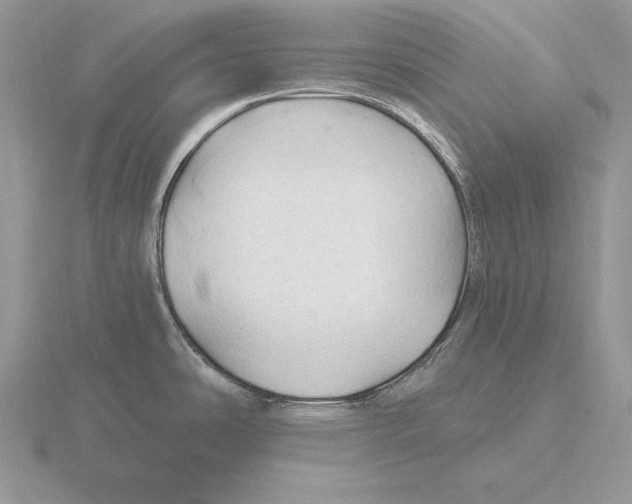 X0000115791486200912111138