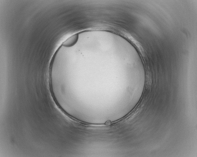 X0000115791487200912111138