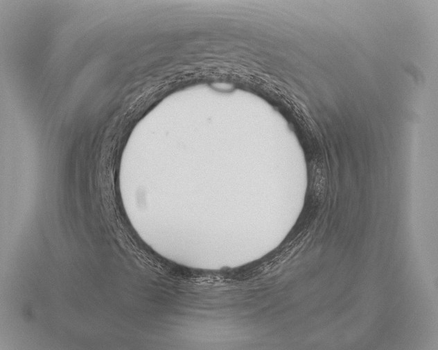 X0000115791489200912111137