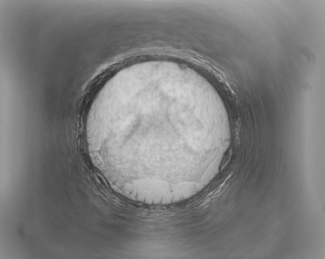 X0000115791494200912111137