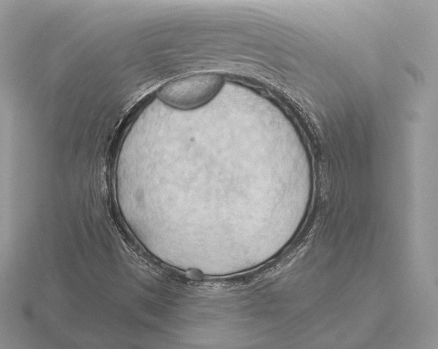 X0000115791497200912111137