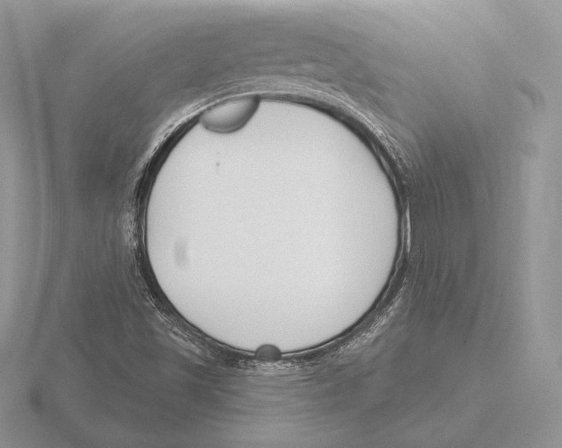 X0000115791501200912111137