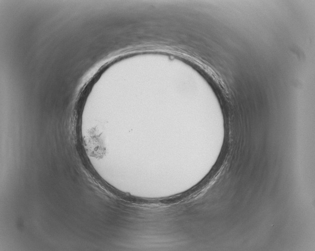 X0000115791502200912111137