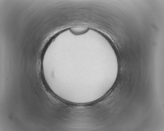 X0000115791507200912111137