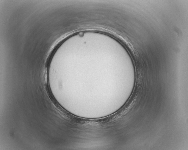 X0000115791509200912111137