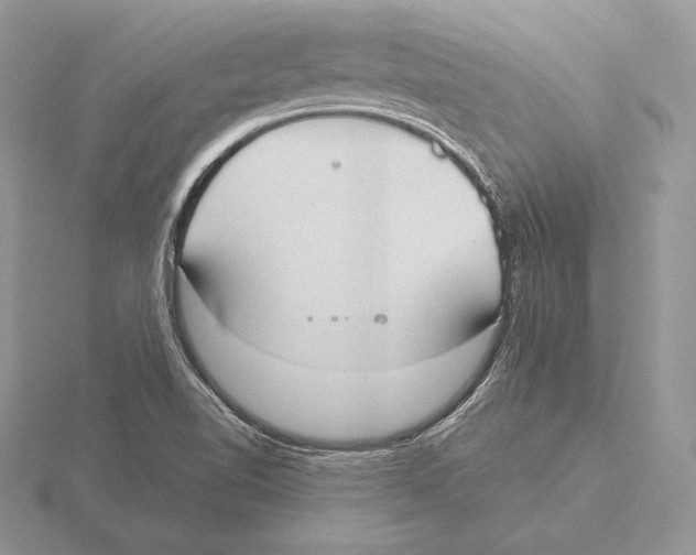 X0000115791510200912111137