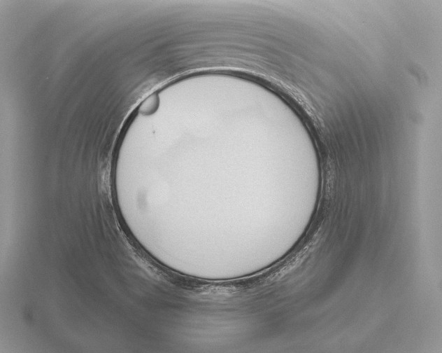 X0000115791513200912111137