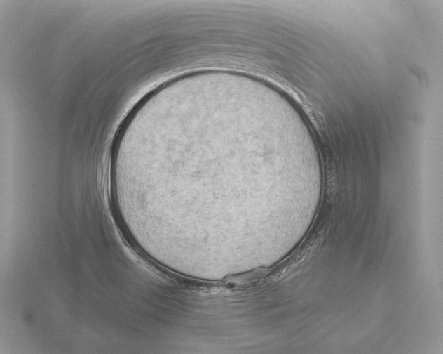 X0000115791515200912111137