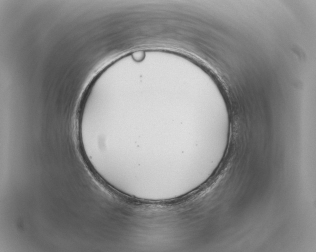 X0000115791517200912111137