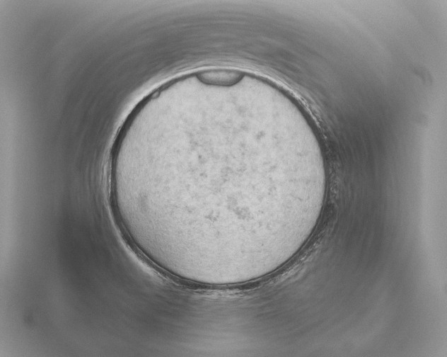 X0000115791519200912111137