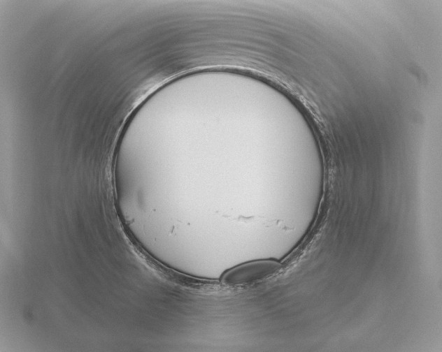 X0000115791521200912111137