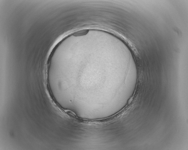 X0000115791522200912111138