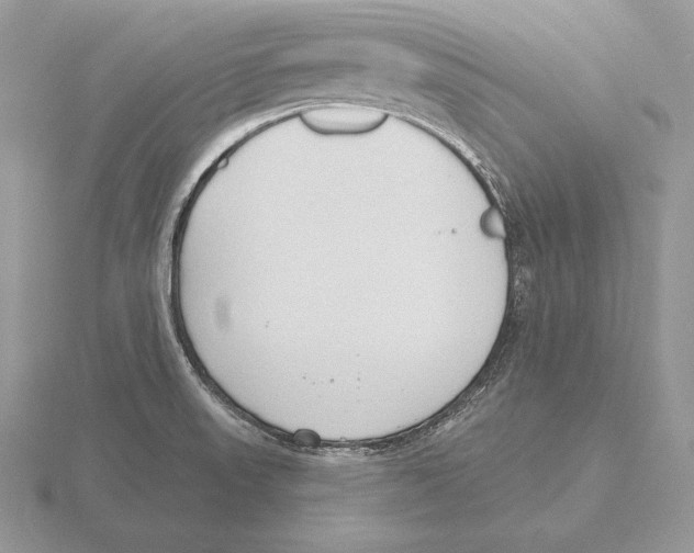 X0000115791523200912111138