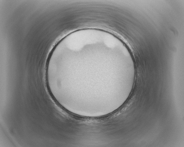 X0000115791525200912111138