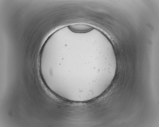 X0000115791526200912111138