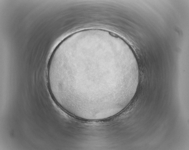 X0000115791527200912111138