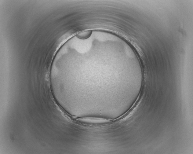 X0000115791529200912111138