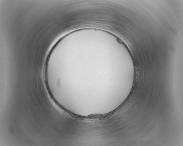 X0000115791531200912111138