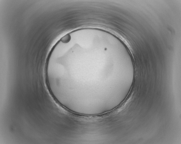 X0000115791533200912111138