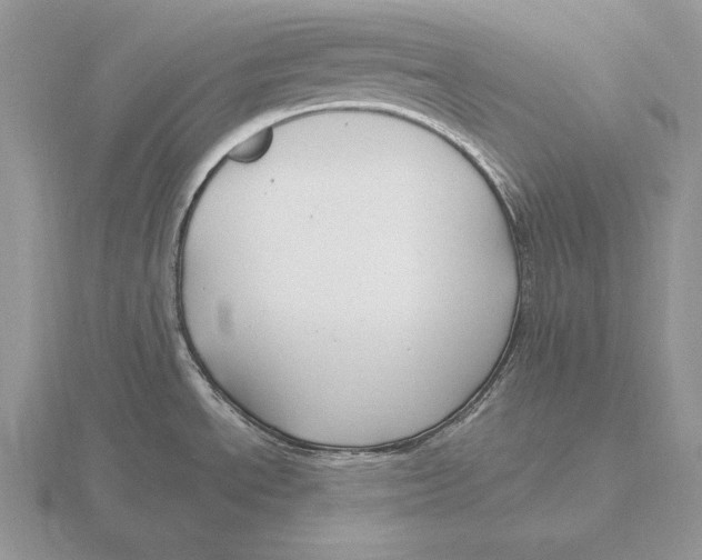 X0000115791534200912111138