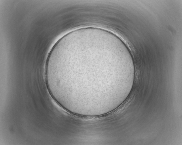 X0000115791535200912111138