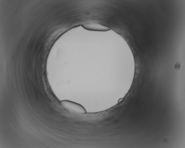 X0000115790001200912241841