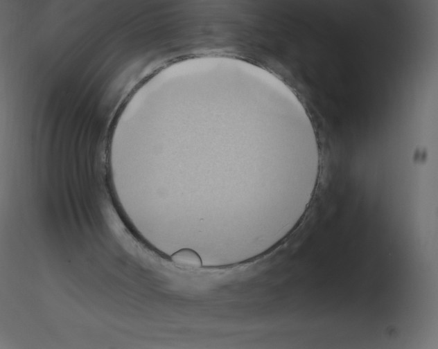 X0000115790002200912241841