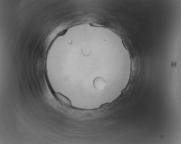 X0000115790003200912241841