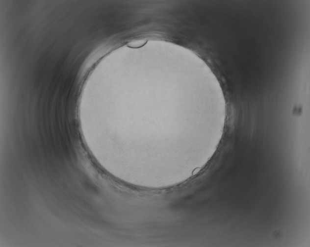 X0000115790004200912241841