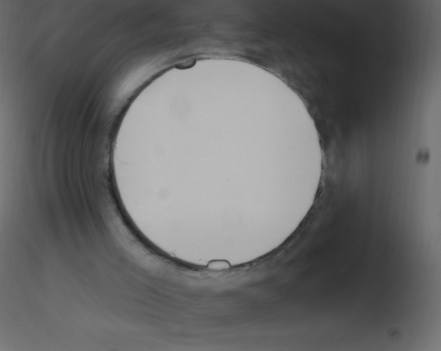 X0000115790005200912241841