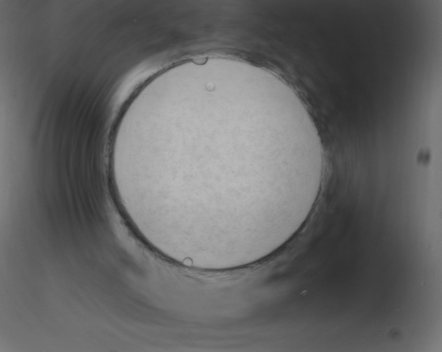 X0000115790006200912241841