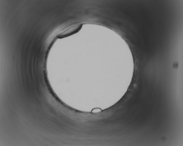 X0000115790007200912241841