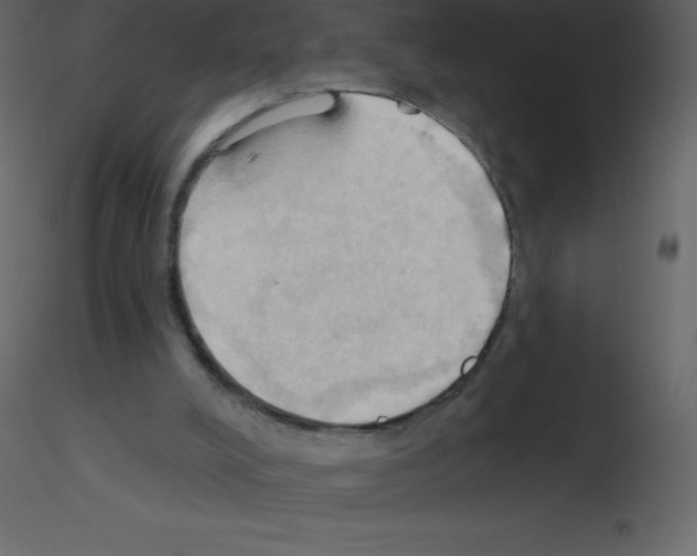 X0000115790008200912241841