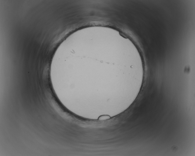 X0000115790009200912241841