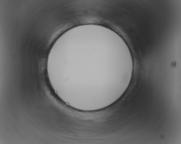 X0000115790010200912241841