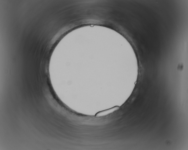 X0000115790011200912241841
