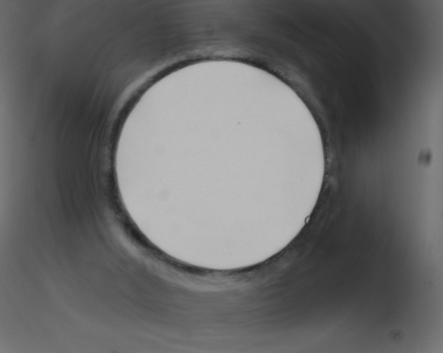 X0000115790012200912241841