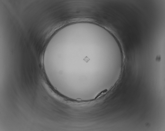 X0000115790013200912241841