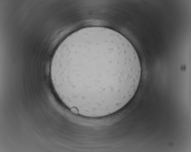 X0000115790014200912241841