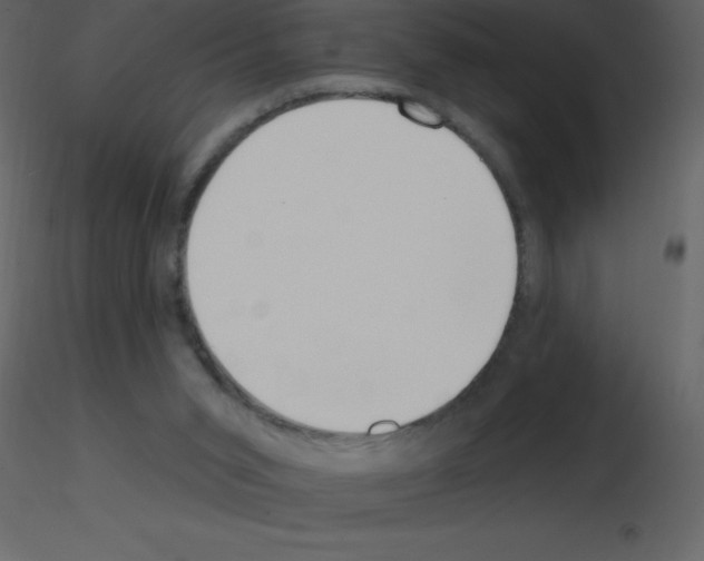X0000115790015200912241841
