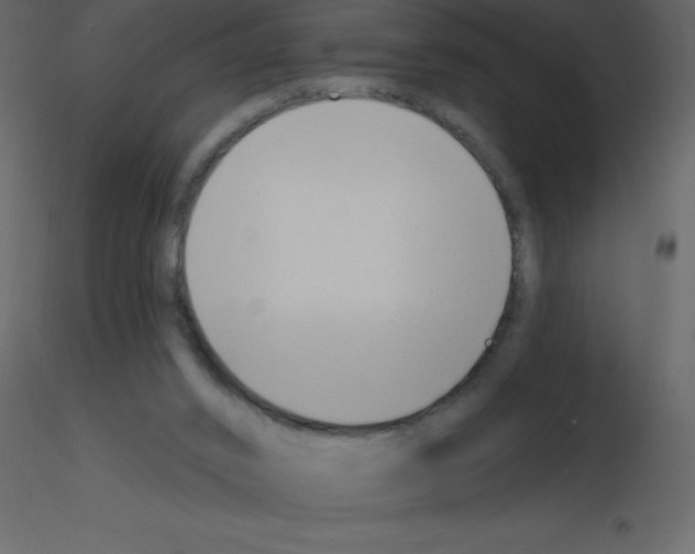X0000115790016200912241841