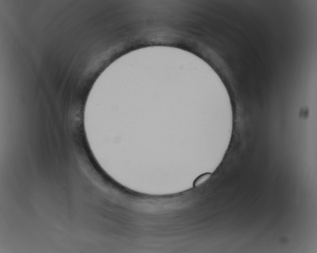 X0000115790017200912241841