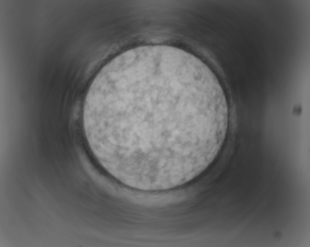 X0000115790018200912241841