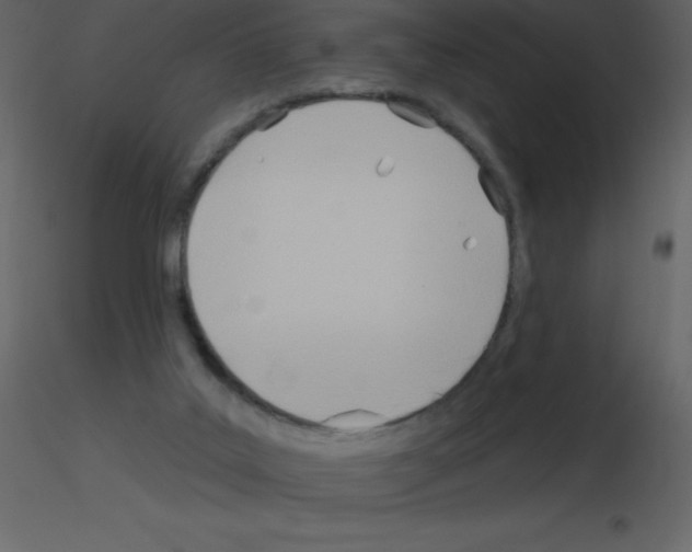 X0000115790019200912241841