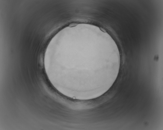 X0000115790020200912241841