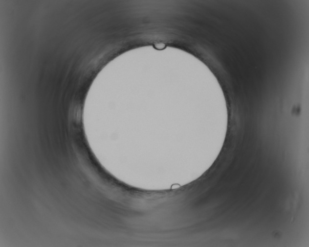 X0000115790021200912241841