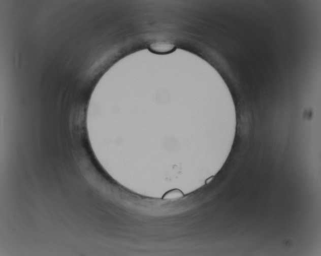 X0000115790023200912241841