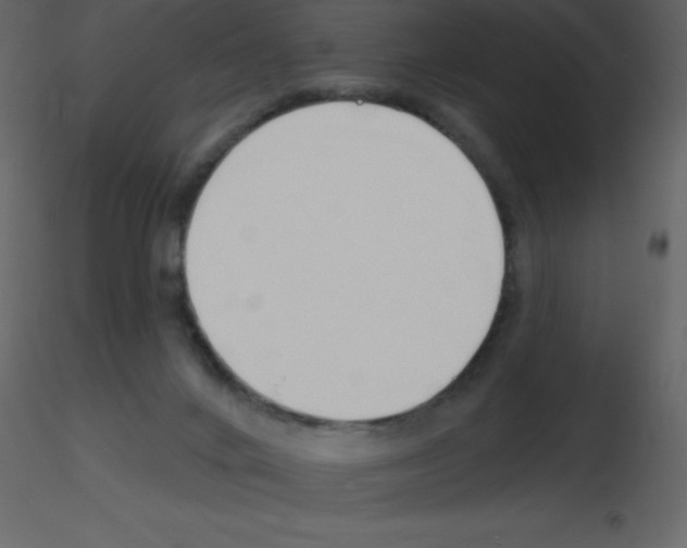 X0000115790024200912241841